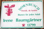 Dornbusch = Floristik die besticht!
